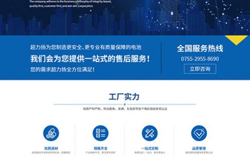 深圳市超力扬科技发展有限公司
